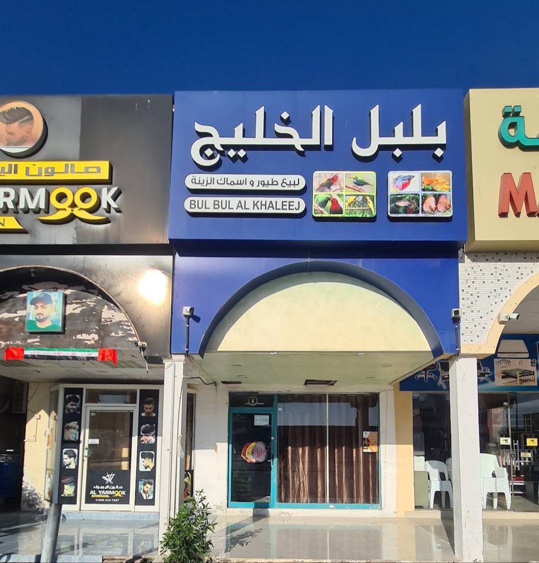 Bulbul Al Khaleej Pet Shop